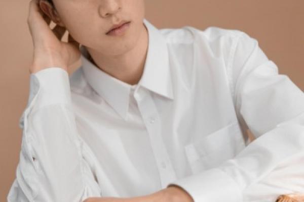 Chemise ( hors soie)