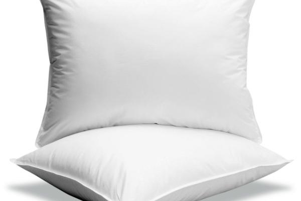 Oreiller ou traversin hors plumes